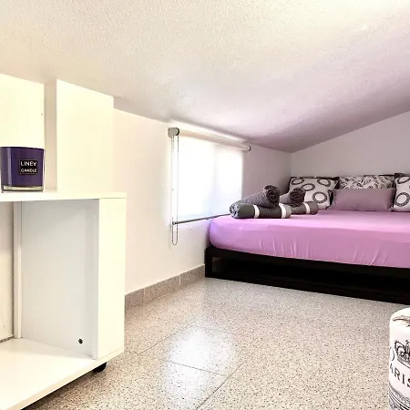 Penthouse Jardin Apartment *